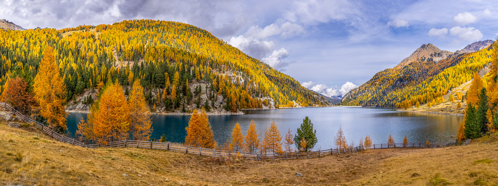 Monatsbilder November 2024